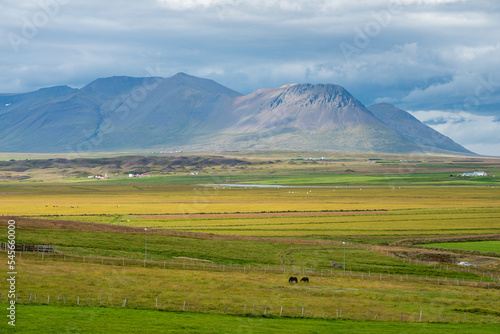 Rural landscape viewed from the Ring road during summer in northern Iceland 