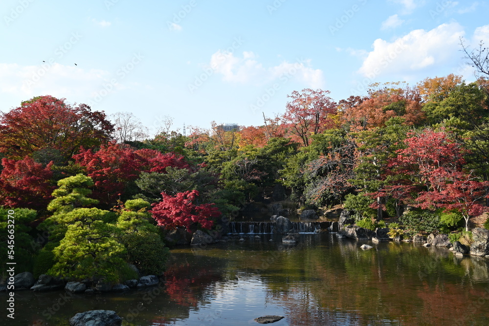 Obraz premium 日本庭園