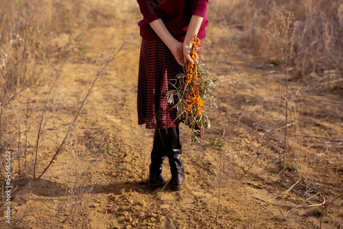 cropped image of female legs. A woman in a sweater, skirt and boots stands in a field on the sand and holds branches with sea buckthorn berries in her hands