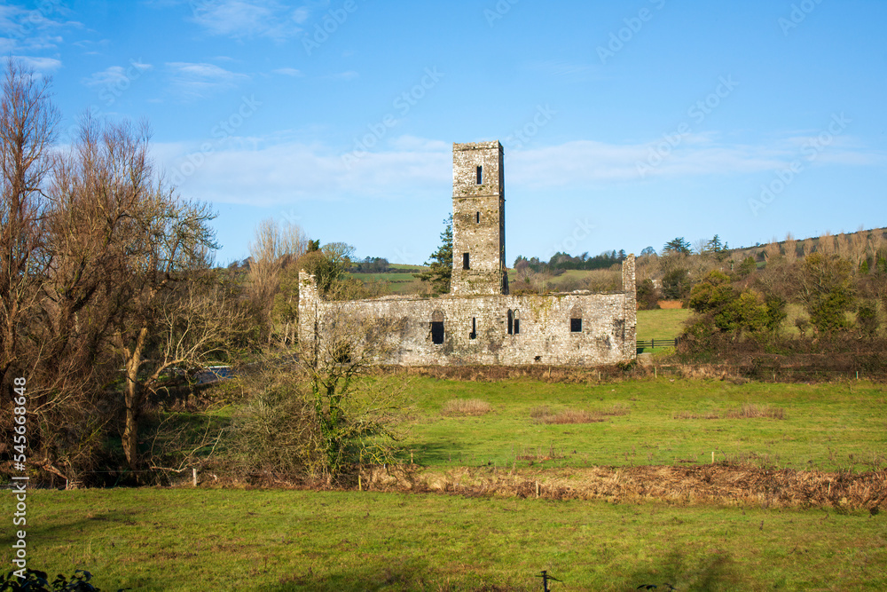 Moor Abbey near Gallbally