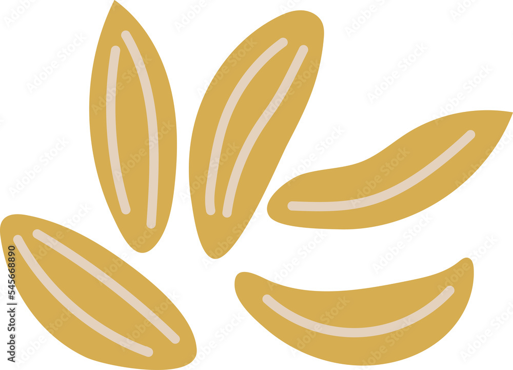 cumin herb spice ingradient food clipart cumin herb spice ingradient food clipart