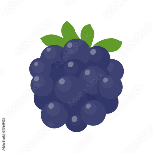 Blueberry vector. Fresh berries. Healthy fruits contain antioxidants.
