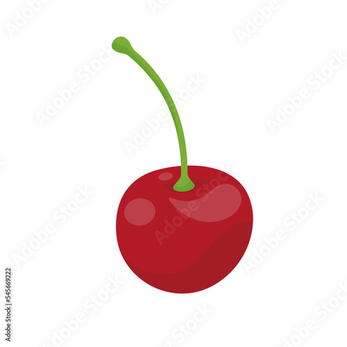 Vector shiny bright red cherries Citrus berries provide healthy vitamins.