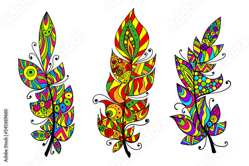 Colorful creative feather set. Vector artistic illustration.	