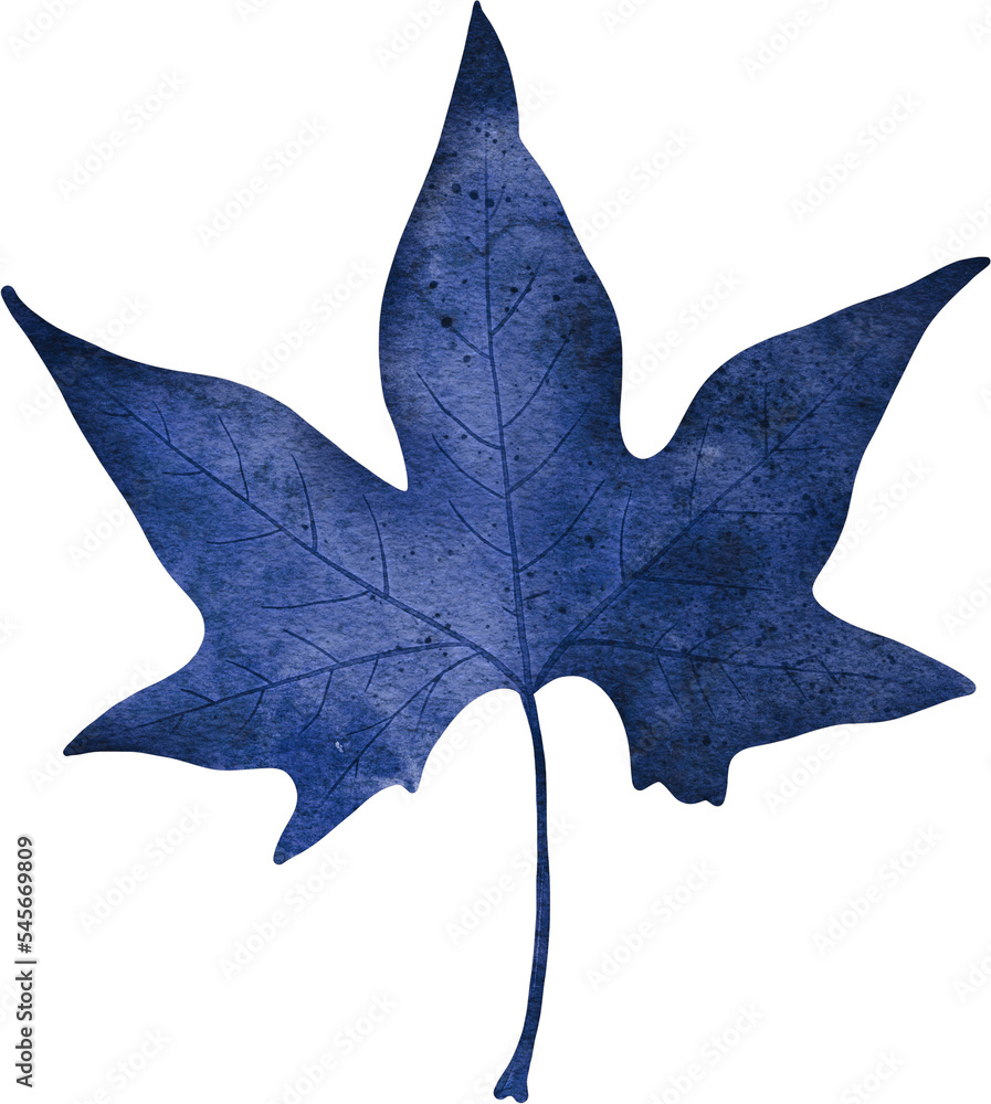 Fototapeta premium Blue watercolor leaf. Floral element for decoration, wedding invitations, posters, greeting cards.