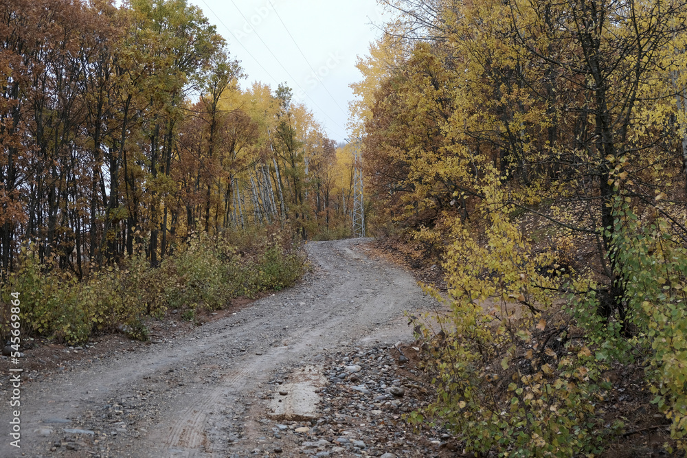 Fototapeta premium Autumn in the Salordek Forests, famous for their natural beauty, in Dersim's Pulumur Valley, Tunceli, Turkey.