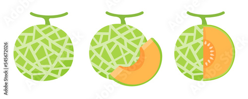 Vector cantaloupe. Juicy orange fleshy fruit. sliced ​​cantaloupe fruit