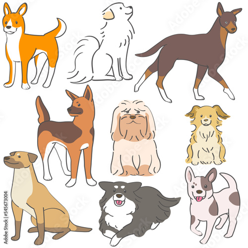 Long-haired and short-haired Mutt dog or Mixed breed dog  set