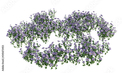 various types of bush flower and hedges arrangements