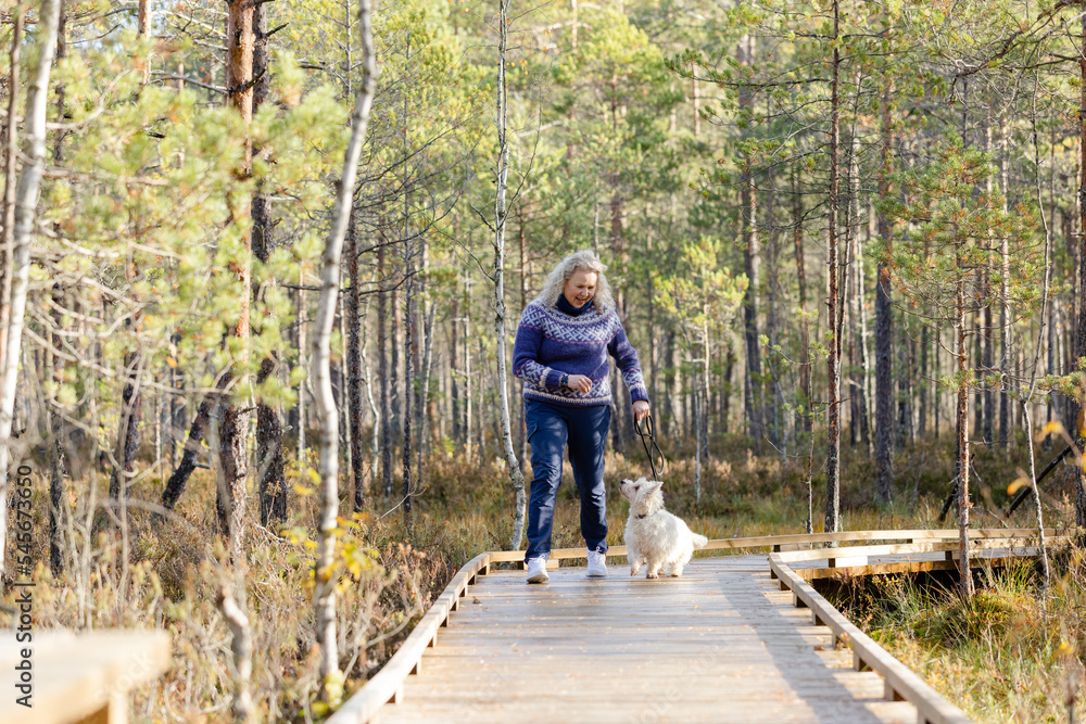 Woman with West Highland white terrier walking on forest trail Woman with West Highland white terrier walking on forest trail
