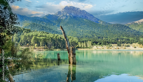 Mirror Mountain . Reflection of mountain and trees on lake Doxa. Mountainous Corinth. Greece photo