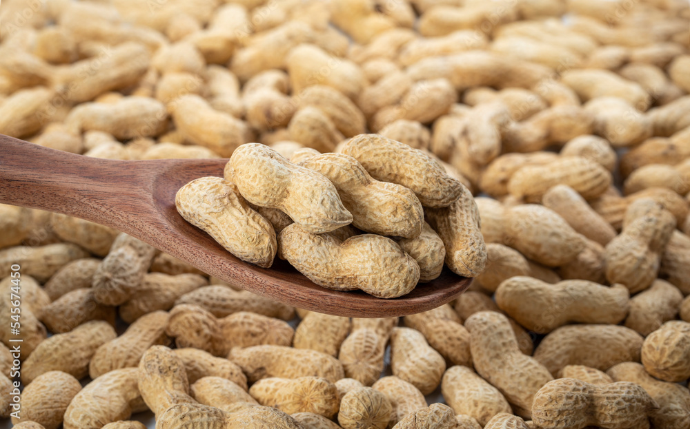 Organic peanuts in shell on wooden spoon with peanuts background. Organic peanuts in shell on wooden spoon with peanuts background.