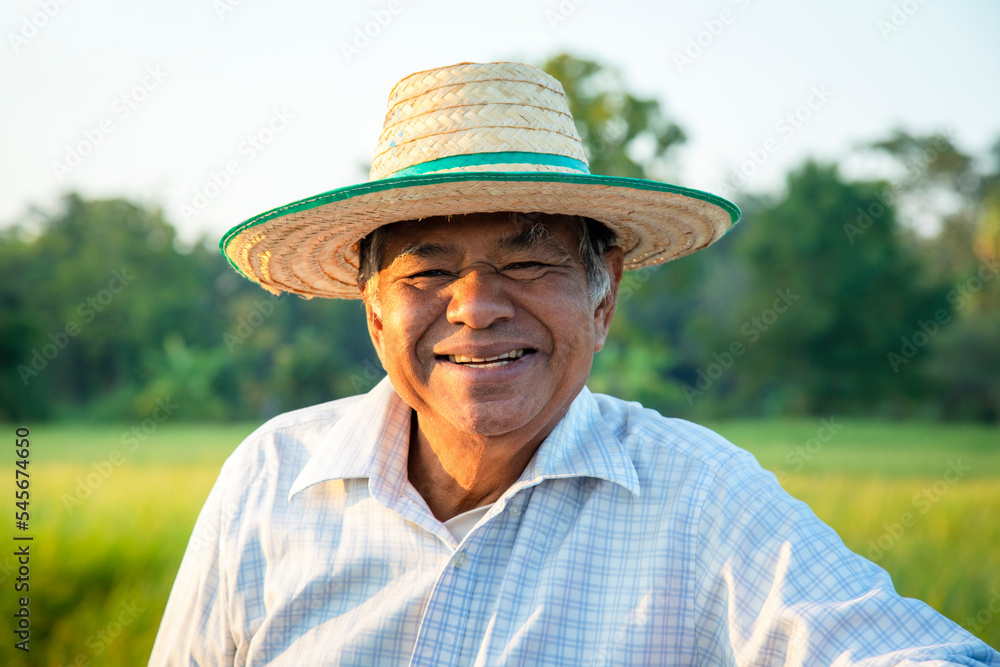 Portrait of elderly Thai farmer smiling happily looking at camera in the morning rice fields