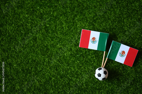 2022 World Cup and Mexico flag on the lawn 2022 World Cup Champion Concept