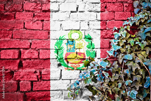 Peru grunge flag on brick wall with ivy plant