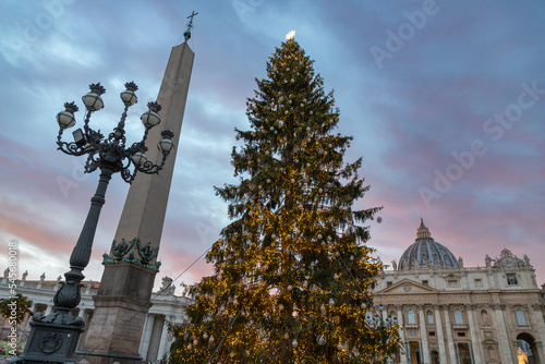 Christmas tree at St. Peter's Basilica, Vatican, Rome, Italy
