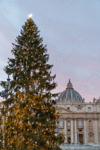 Christmas tree at St. Peter's Basilica, Vatican, Rome, Italy