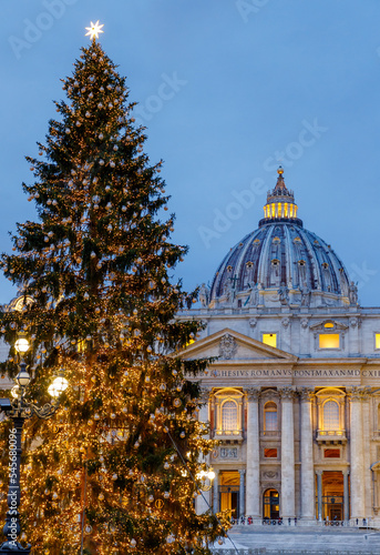 Christmas tree at St. Peter's Basilica, Vatican, Rome, Italy