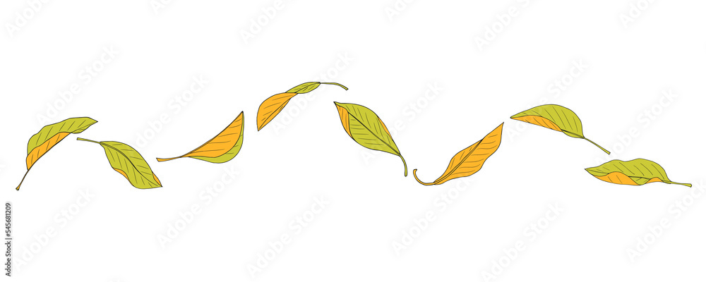 Autumn leaves fly in the wind. Tree leaves. PNG