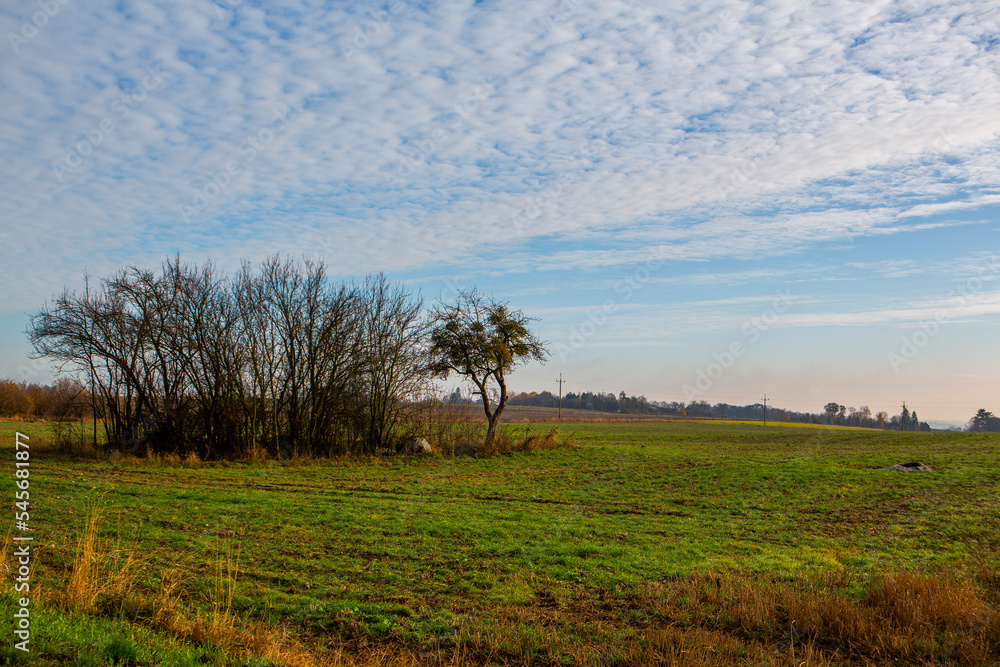 piękna jesień polska krajobrazy pola lubelskie