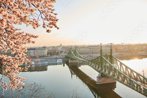 Photography Freedom bridge Budapest
