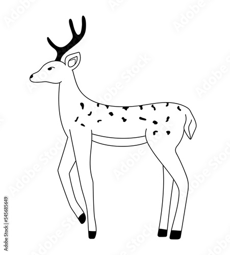 Outline deer isolated. Christmas hand drawn deer. Vector wildlife illustration	
