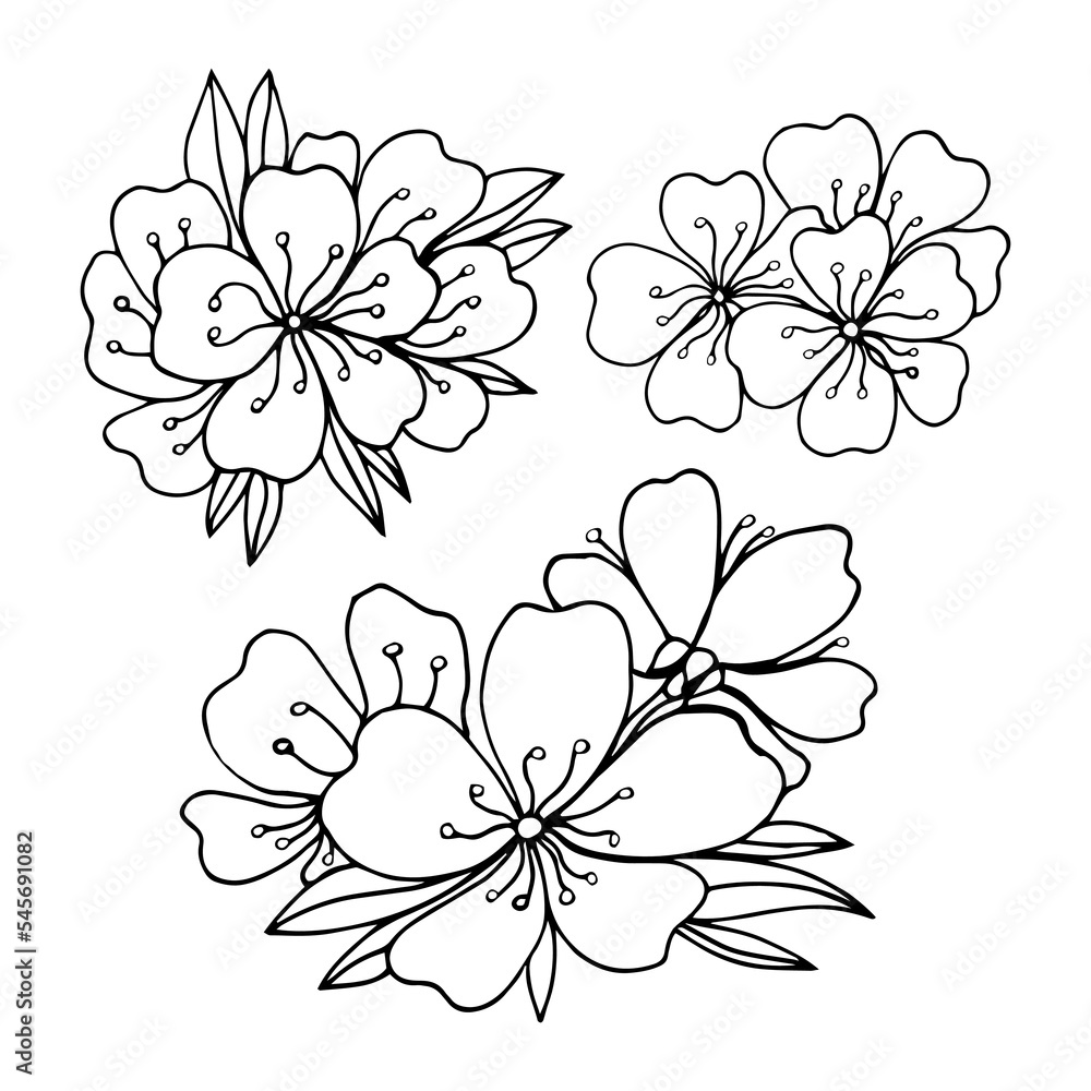 Obraz premium Vector illustration sakura cherry, branch with blooming flowers, Japan flowers