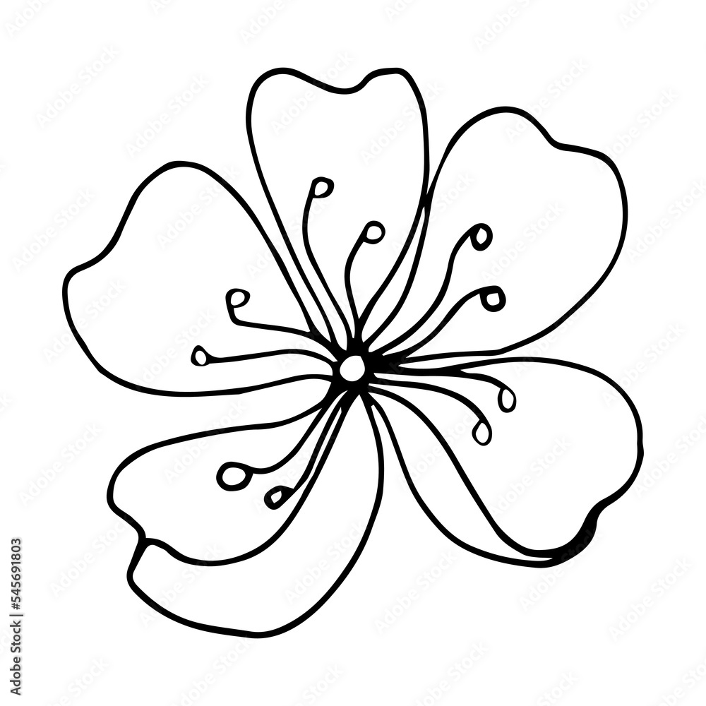 Fototapeta premium Sakura flower doodle icon. Back line isolated on white. One line contour floral drawing.Vector illustration