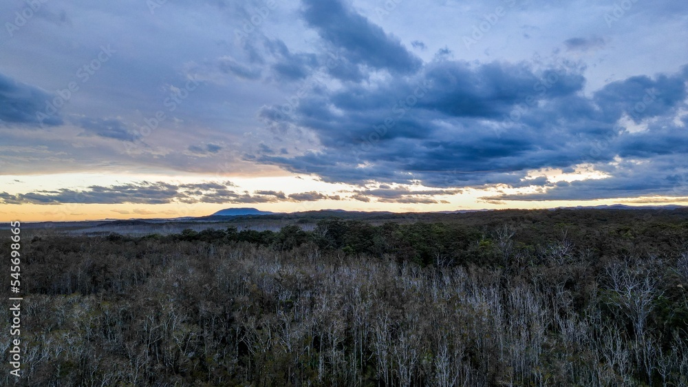 Beautiful forest of Port Macquarie during a sunset Beautiful forest of Port Macquarie during a sunset