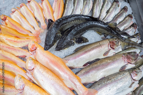Delicious raw fish. Seafood...