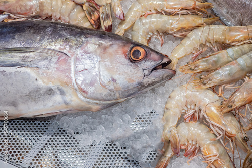 Fresh seafood. Tuna fish. R...