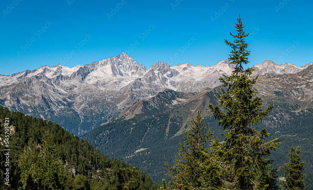Mountain landscape in summer in Western Dolomites (Dolomiti di Brenta) - Vallesinella - Madonna di Campiglio, Trentino Alto Adige, northern Italy - Europe