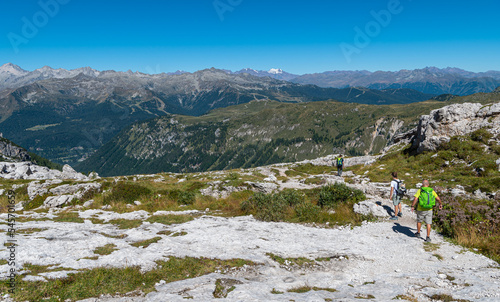 Mountain landscape in summer in Western Dolomites (Dolomiti di Brenta) - Vallesinella - Madonna di Campiglio, Trentino Alto Adige, northern Italy - Europe photo