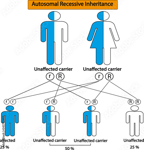 Autosomal recessive inheritance