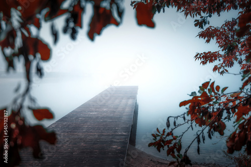 Autumn. Foggy morning at the Bagry lake in Krakow. Colorful leaves. Jesień. Mglisty poranek nad jeziorem Bagry w Krakowie. Kolorowe - czerwone i żółte liście, barwy jesieni. Polska