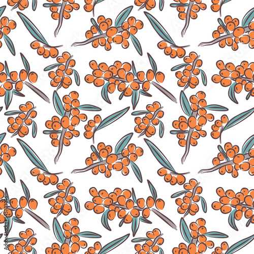 Natural organic sea buckthorn seamless pattern vector illustration sketch