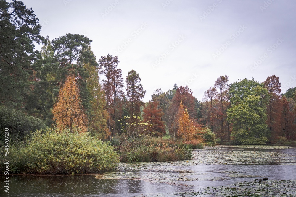 Fototapeta premium Beautiful autumn landscape of a lake and colorful trees at Bedgebury Pinetum in Kent, UK