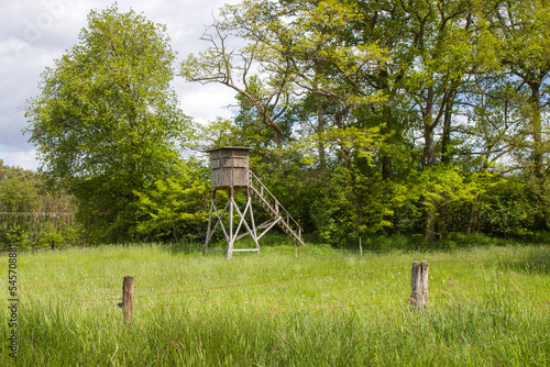 Fototapeta hunters hight seat on a meadow - German countryside landscape