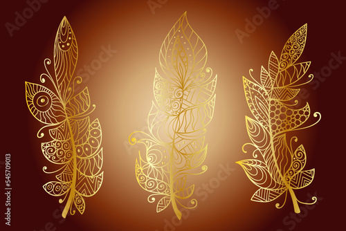 Colorful creative feather set. Vector artistic illustration.