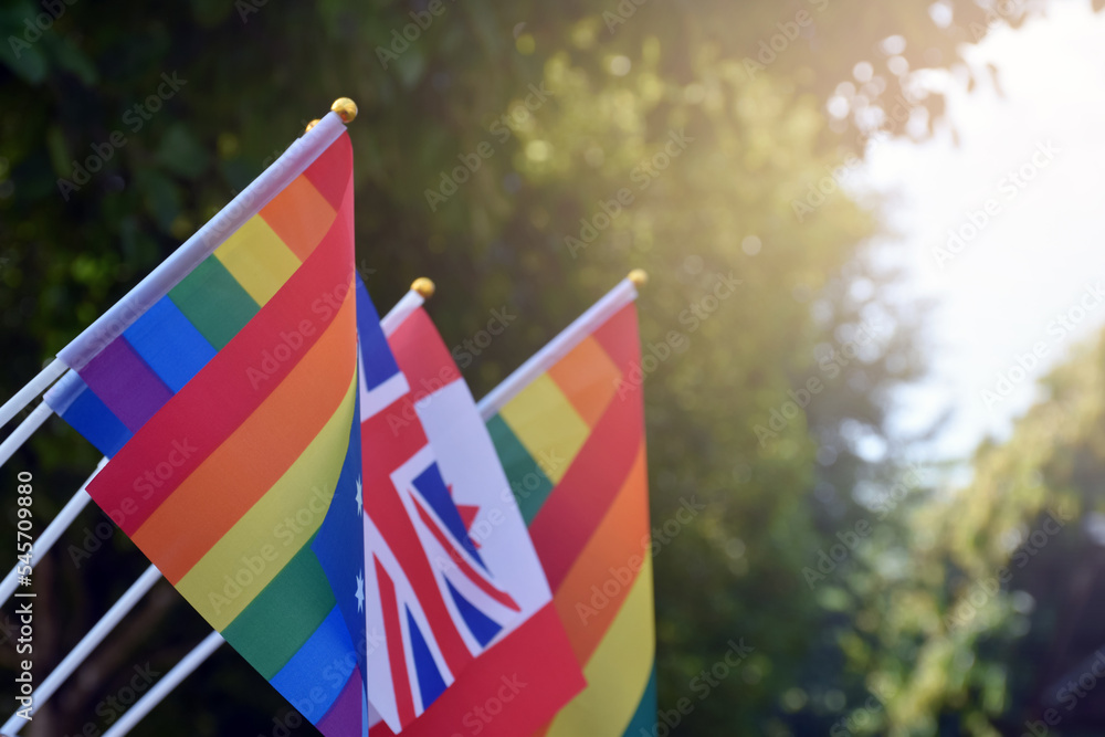 Rainbow flags, Canada national flag and Union Jack flag stand together, soft and selective focus, concept for LGBT celebration in pride month around the world.