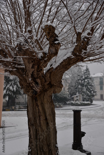 Snowfall in a small village in Basilicata in winter 2017