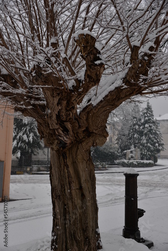Snowfall in a small village in Basilicata in winter 2017