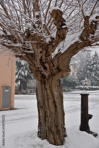 Snowfall in a small village in Basilicata in winter 2017