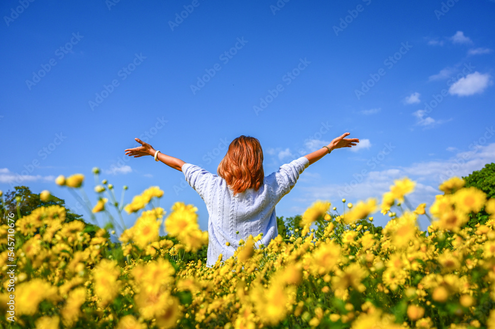 Happy young woman enjoying in yellow chrysanthemum field. Happy young woman enjoying in yellow chrysanthemum field.