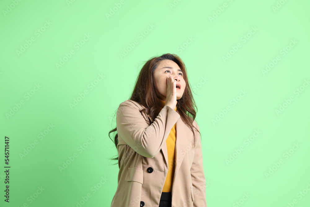 Asian Business Woman Asian Business Woman