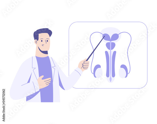Men health concept. Doctor works on investigation of a male reproductive system. Urologist checks male organs. Vector flat illustration