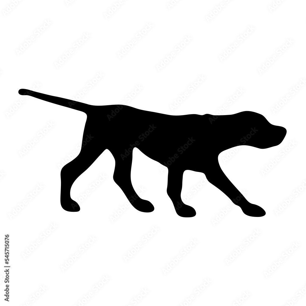 Foxhound. Black silhouette of a dog on a white background. Vector illustration