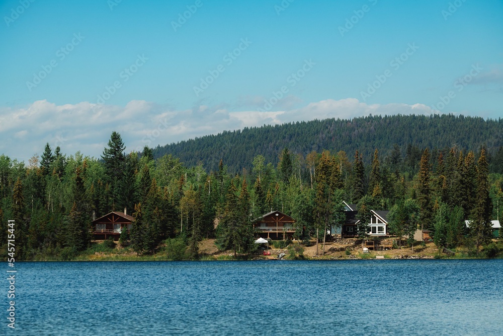 Beautiful shot of wooden houses in woodlands by a river on a sunny day