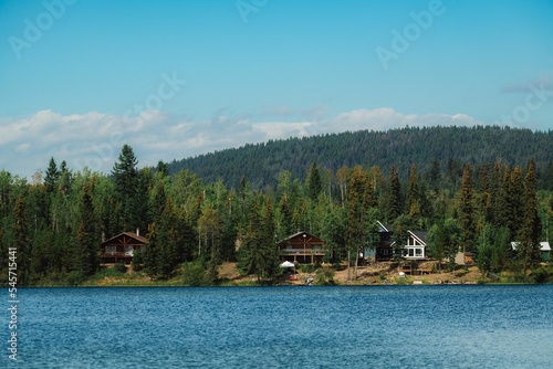 Beautiful shot of wooden houses in woodlands by a river on a sunny day