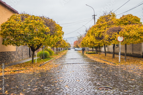 Fototapeta Naklejka Na Ścianę i Meble -  Pavement road in a small cozy town in autumn after rain. Yellow leaves and trees in autumn. Picturesque European street in a small town with beautiful old houses and paving stones. Mukachevo. Ukraine.